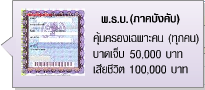 ประกันภัยรถยนต์