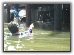 ไฟไหม้ น้ำท่วมบ้านหมี