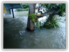 น้ำท่วม