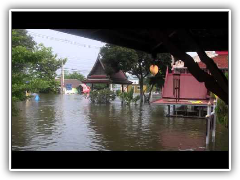 น้ำท่วมอยุธยา (วัดดุสิตาราม)