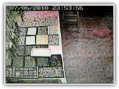 วัยรุ่นขโมยของในงานกาชาดสงขลา