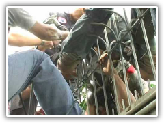 พนักงานปืนเก็บมะยมพลาดเหล็กเสียบขา