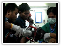 หวาดเสียวเหล็กเสียบหัว